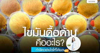 ไขมันดื้อด้าน